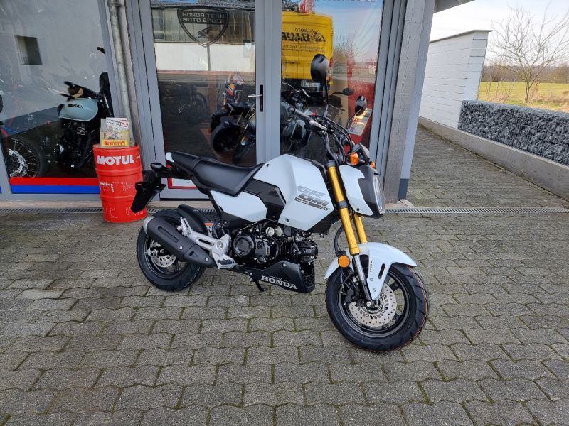 Honda MSX 125 Grom 